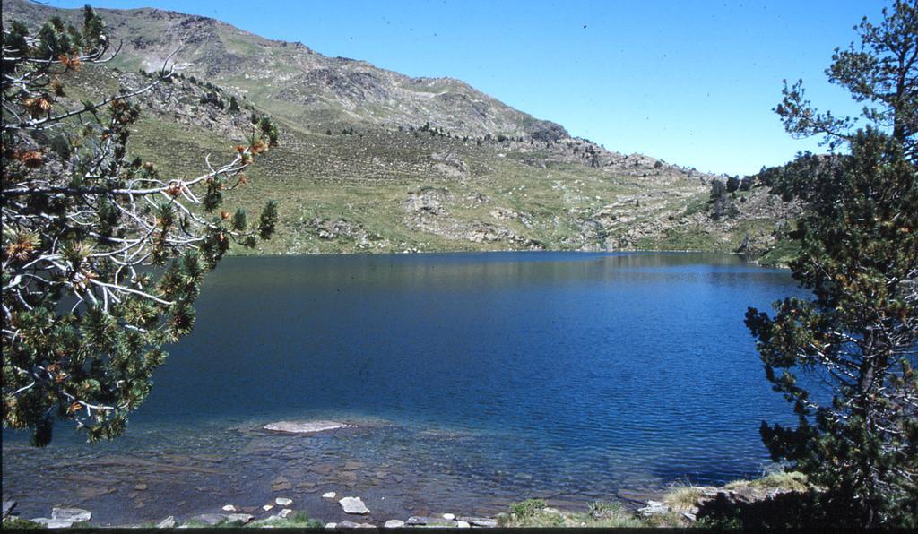 La Coberta-Lo Paller Del Coc Rialp Eksteriør bilde